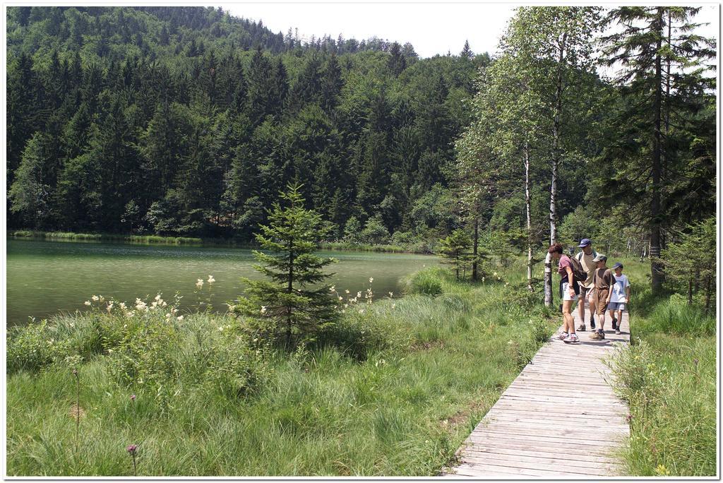 Aktivhotel & Gasthof Schmelz Ihr Urlaubs Hotel In Inzell Mit Wellness Hallenbad, Alpensauna & Dampfbad Exteriör bild